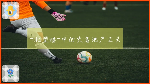 -北望楼-中的失落地产巨头