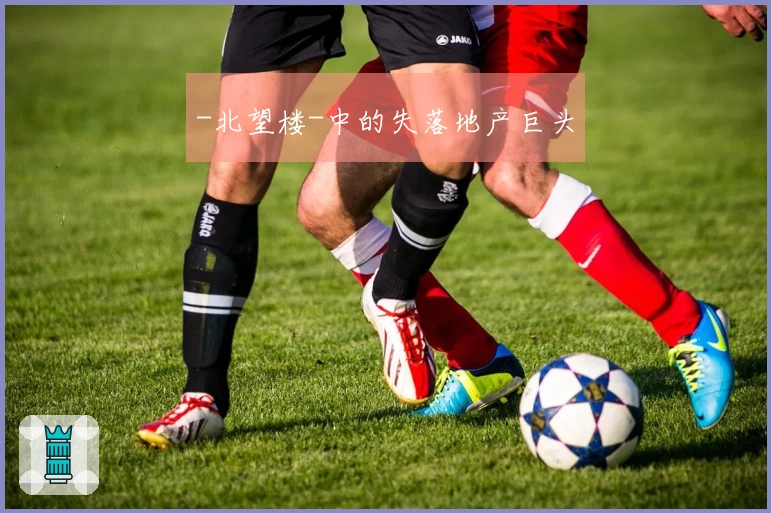 -北望楼-中的失落地产巨头